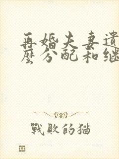 再婚夫妻遗产怎么分配和继承