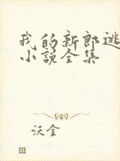 我的新郎逃婚了小说全集