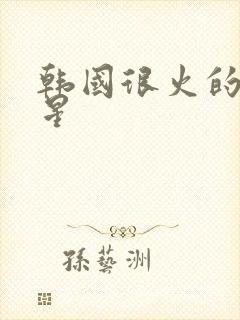 韩国很火的男明星