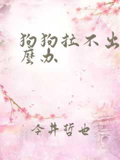 狗狗拉不出尿怎么办