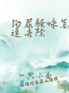 狗尿骚味怎么快速去除