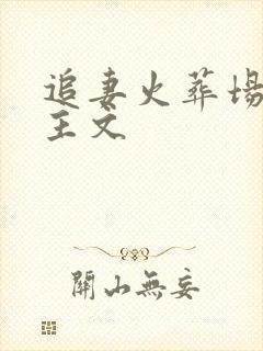 追妻火葬场双女主文