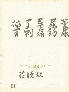 插了导尿管后还有刺痛的尿意