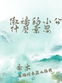 傲娇的小公主是什么意思