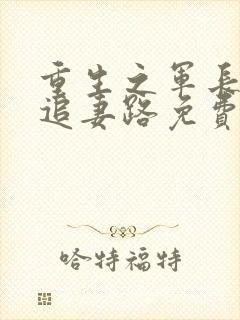 重生之军长漫漫追妻路免费阅读