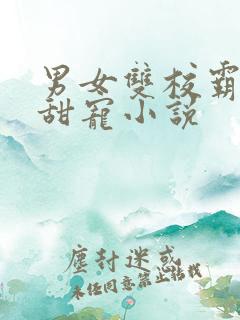 男女双校霸校园甜宠小说