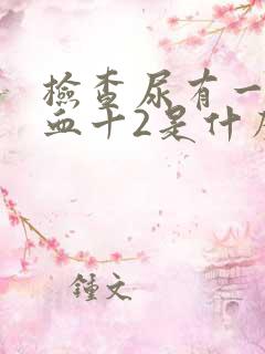 检查尿有一项隐血十2是什么意思?