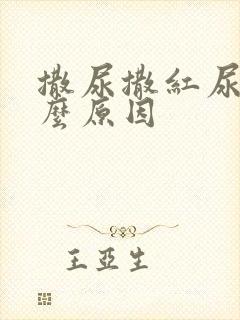 撒尿撒红尿是什么原因