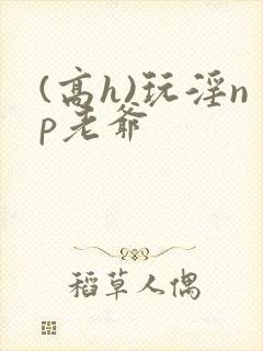 (高h)玩淫np老爷