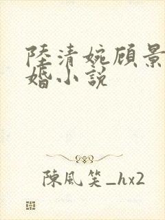 陆清婉顾景川军婚小说