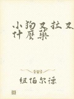 小狗又拉又吐吃什么药