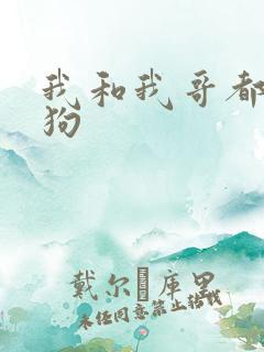 我和我哥都是舔狗