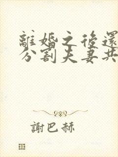 离婚之后还可以分割夫妻共同财产吗