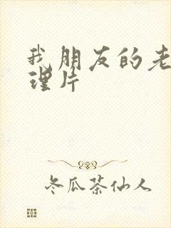 我朋友的老婆伦理片