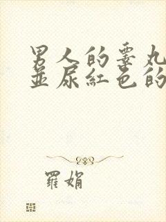 男人的睾丸疼痛并尿红色的尿