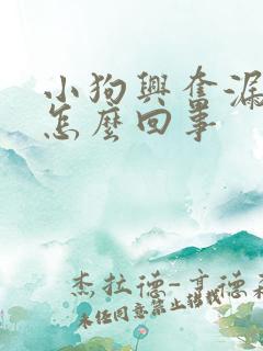 小狗兴奋漏尿是怎么回事