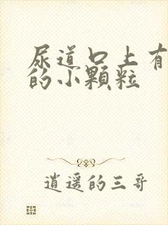 尿道口上有白色的小颗粒