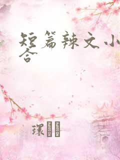 短篇辣文小说集合