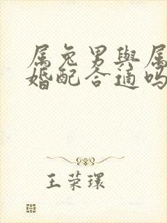 属兔男与属蛇女婚配合适吗