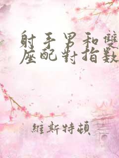 射手男和双子女座配对指数