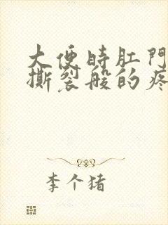 大便时肛门里面撕裂般的疼还有血