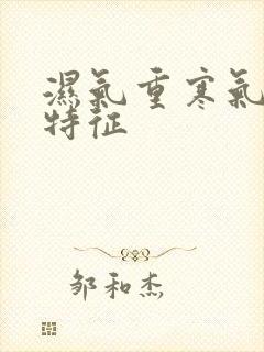 湿气重寒气大的特征