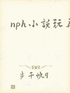 nph小说玩弄