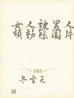 女人被男人操视频动态图片