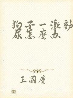 狗子一激动就漏尿怎么办