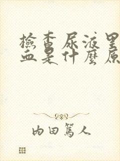 检查尿液里面有血是什么原因引起的女性