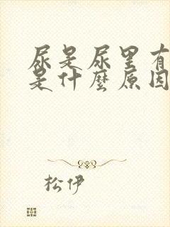 尿是尿里有隐血是什么原因