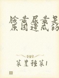 脸黄尿黄是什么原因造成的