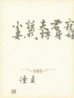 小说夫君宠妾灭妻,我转身嫁权贵