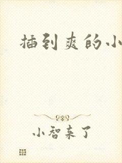 插到爽的小说
