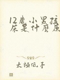 12岁小男孩尿床是什么原因?