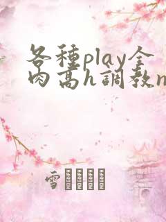 各种play全肉高h调教np