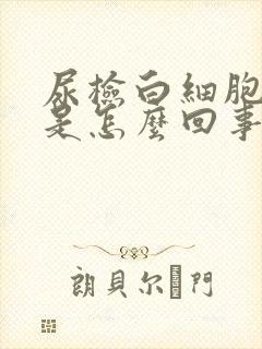 尿检白细胞78是怎么回事