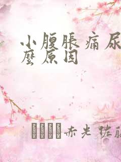 小腹胀痛尿频什么原因