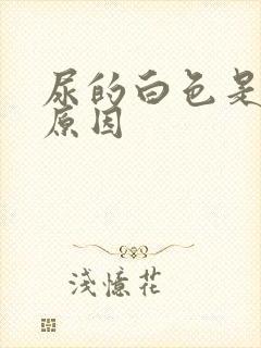 尿的白色是什么原因