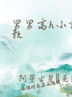 男男高h小说调教