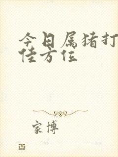 今日属猪打牌最佳方位