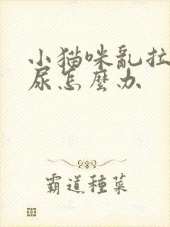 小猫咪乱拉屎拉尿怎么办