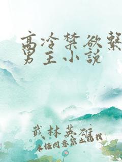 高冷禁欲系军人男主小说