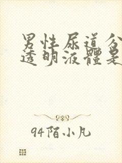 男性尿道分泌出透明液体是什么