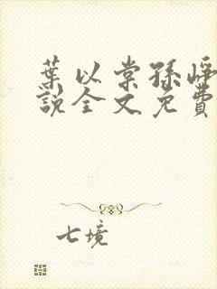 叶以棠孙峥宇小说全文免费阅读