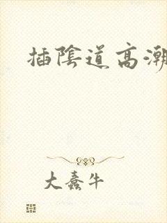 插阴道高潮视频