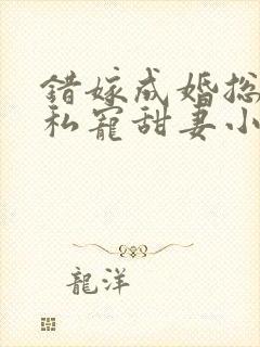 错嫁成婚总裁的私宠甜妻小说