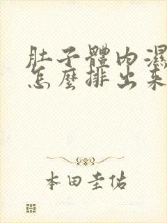 肚子体内湿气重怎么排出来