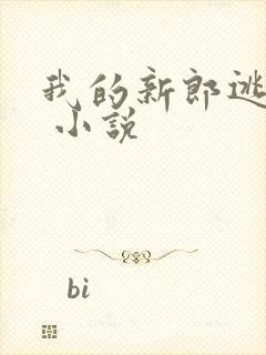 我的新郎逃婚了 小说