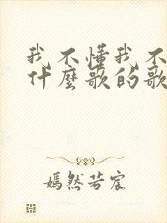 我不懂我不能是什么歌的歌词